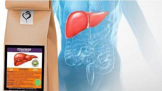 Гепаклинер — препарат для восстановления и защиты печени от вредного воздействия